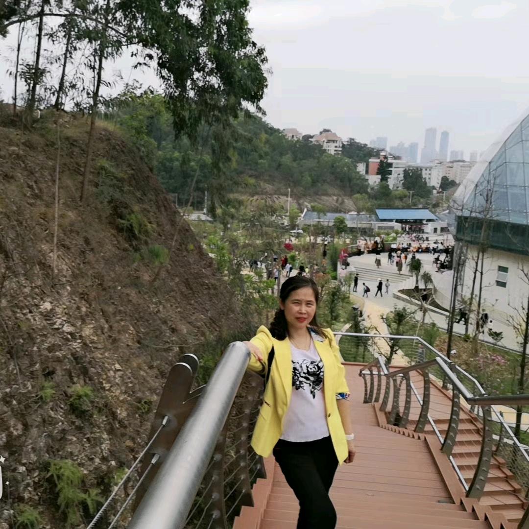 你的世界我曾来过