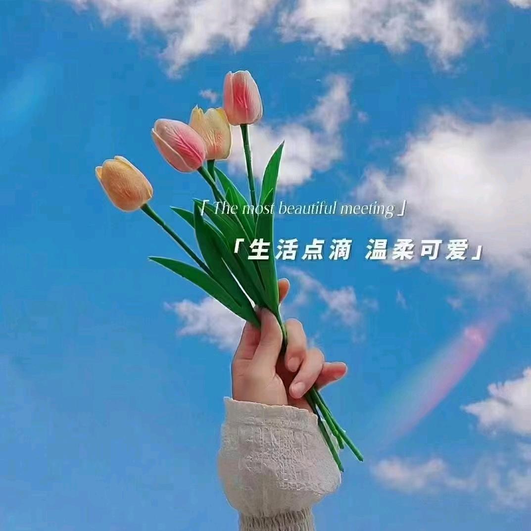 俊哲51129