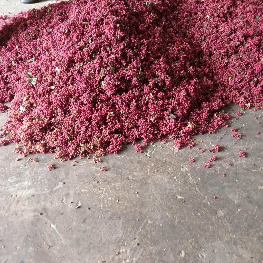 七宝妈(不定时直播)