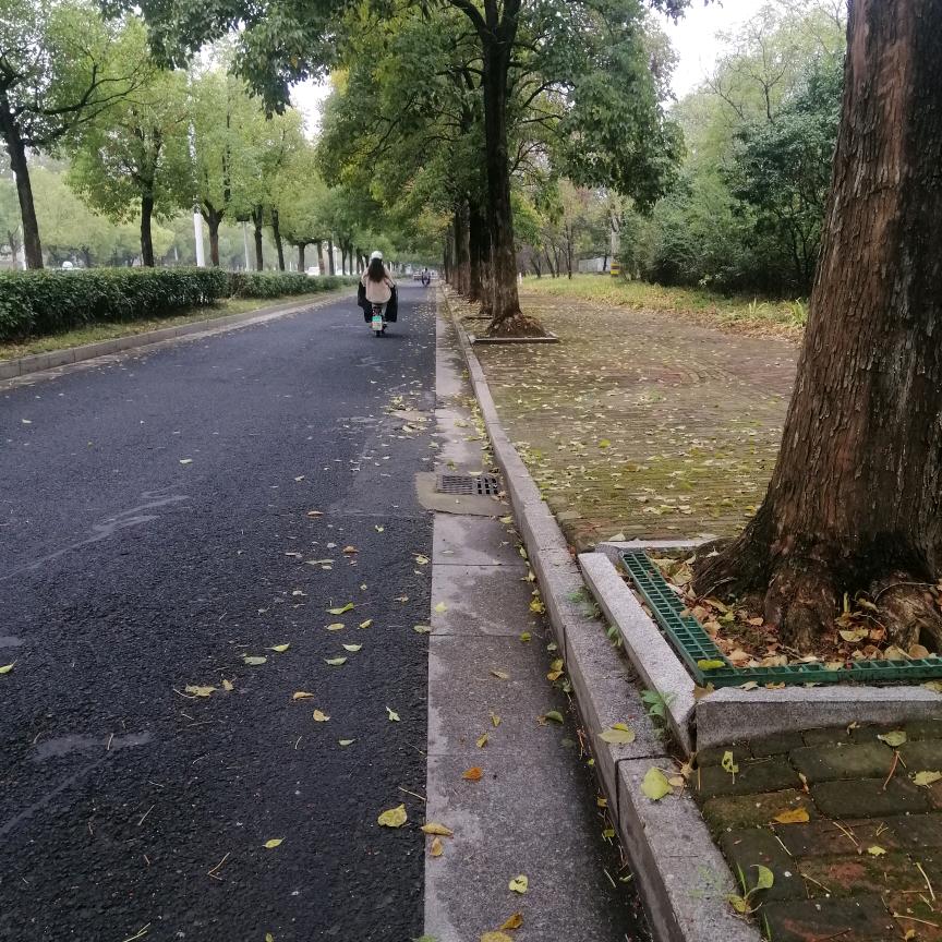 秋日私雨