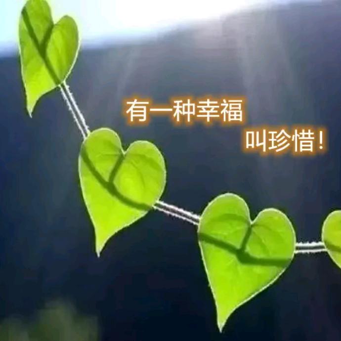 一帆风顺（首播筹备学习中）