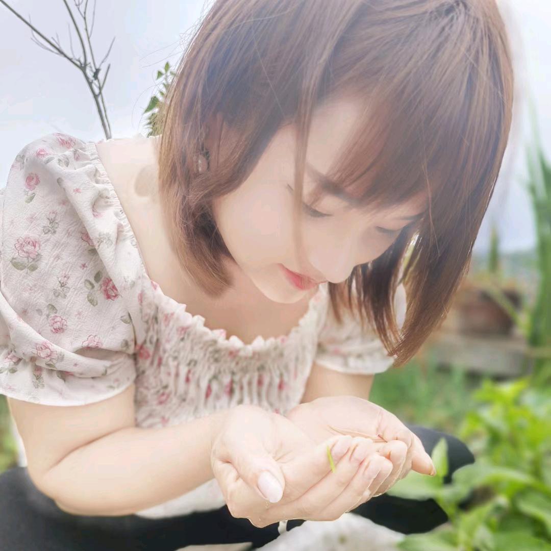 宜宾燕子