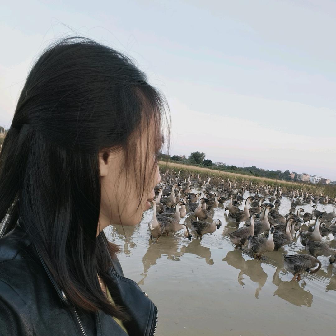 阿婷