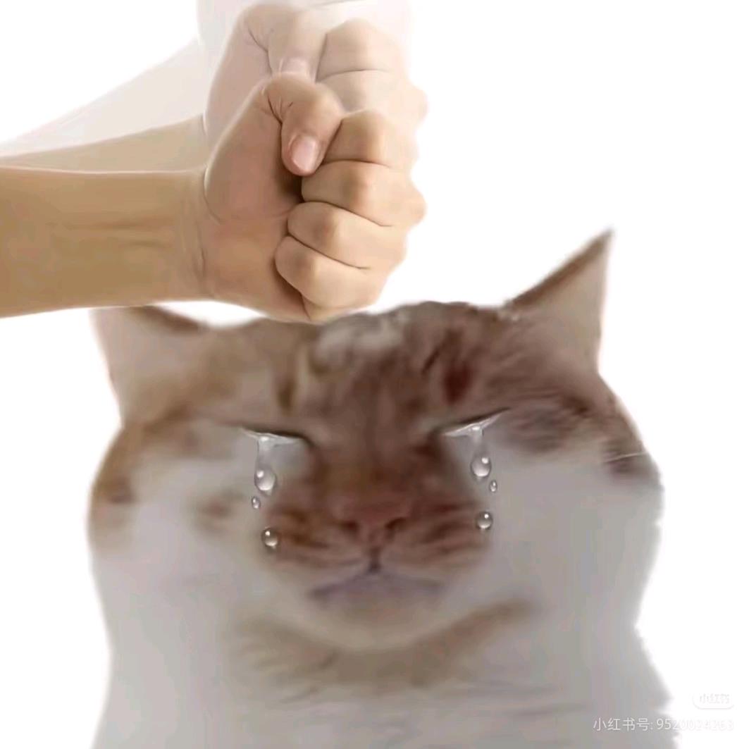 萌萌的农村人