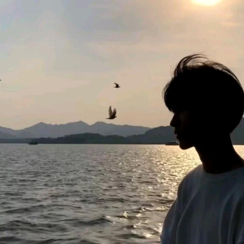 雨蝶.