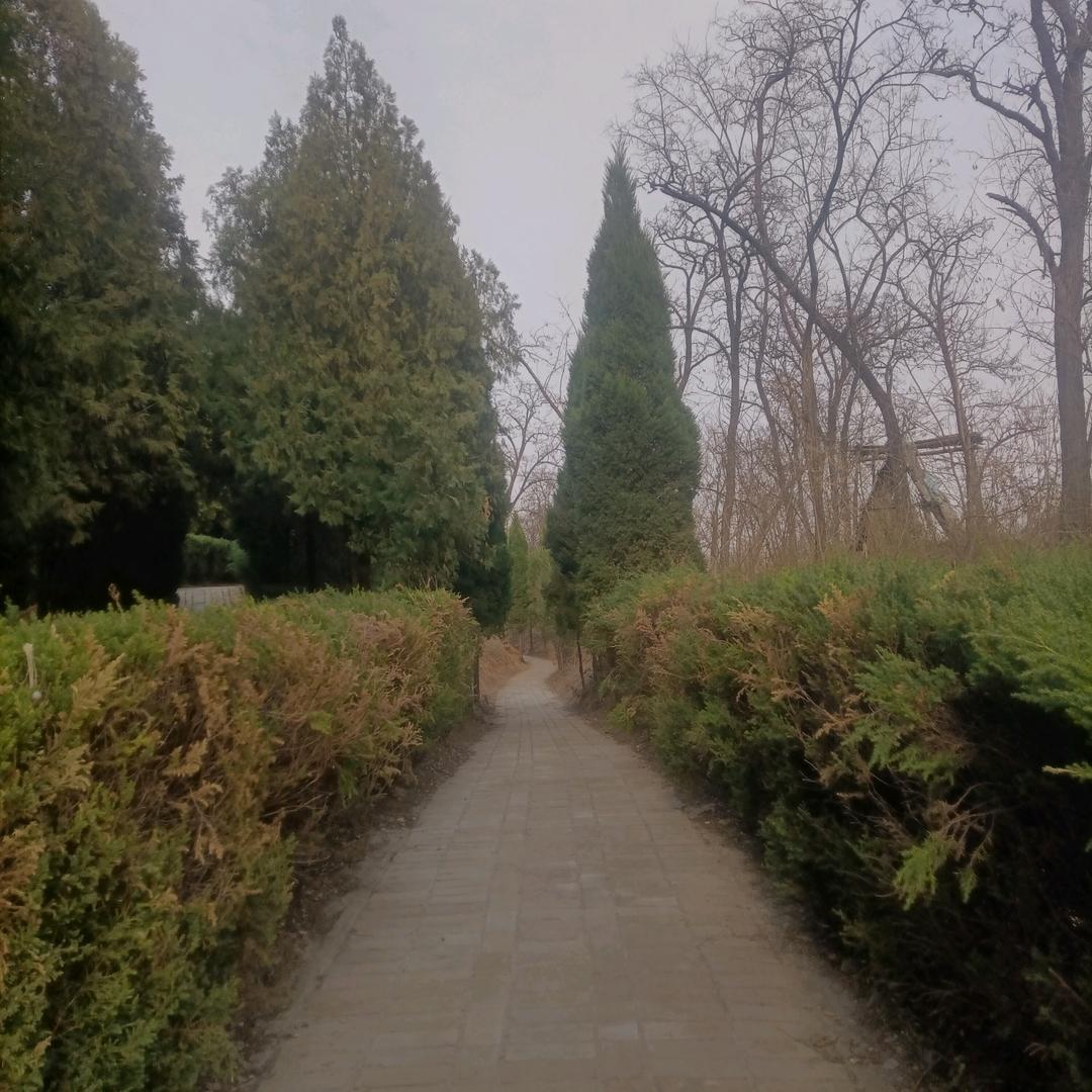 丬，人生靠自己