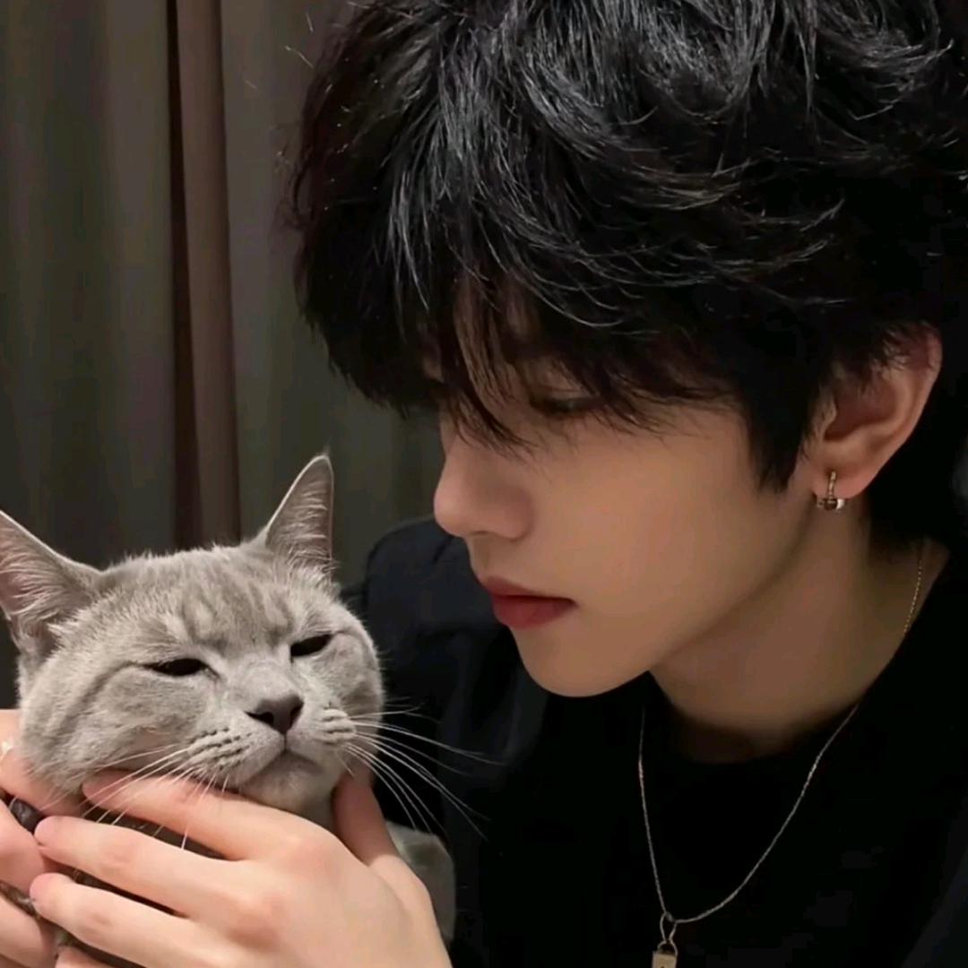 网抑云🐾