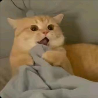 啊嘿咻