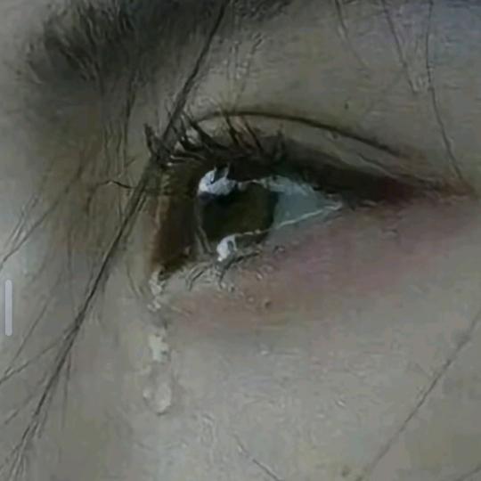 看淡人生。