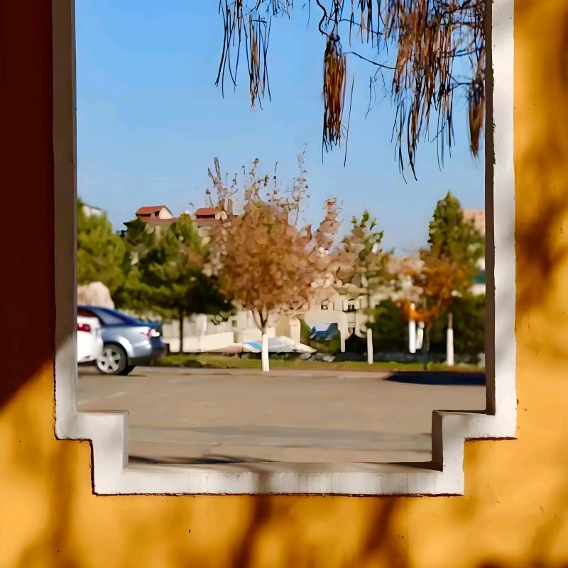 Long（博士已毕业）