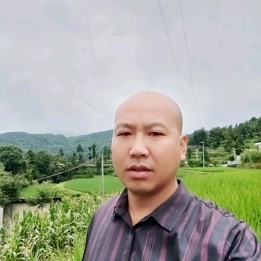 金沙王老幺专业花灯