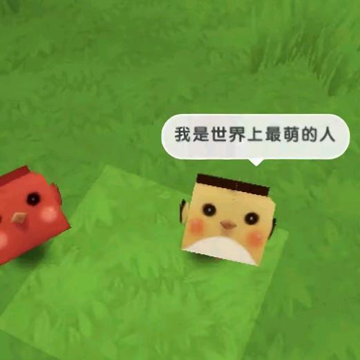 欣欣ㅤ