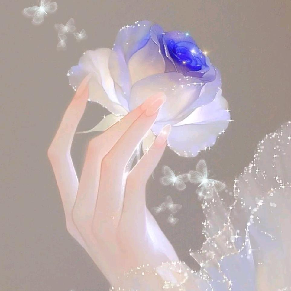 芝芝姐