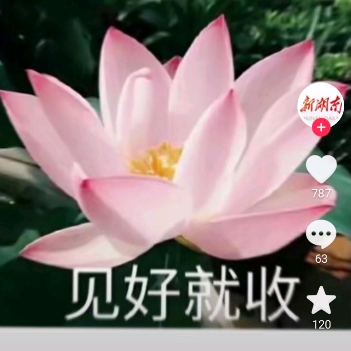 随遇而安.