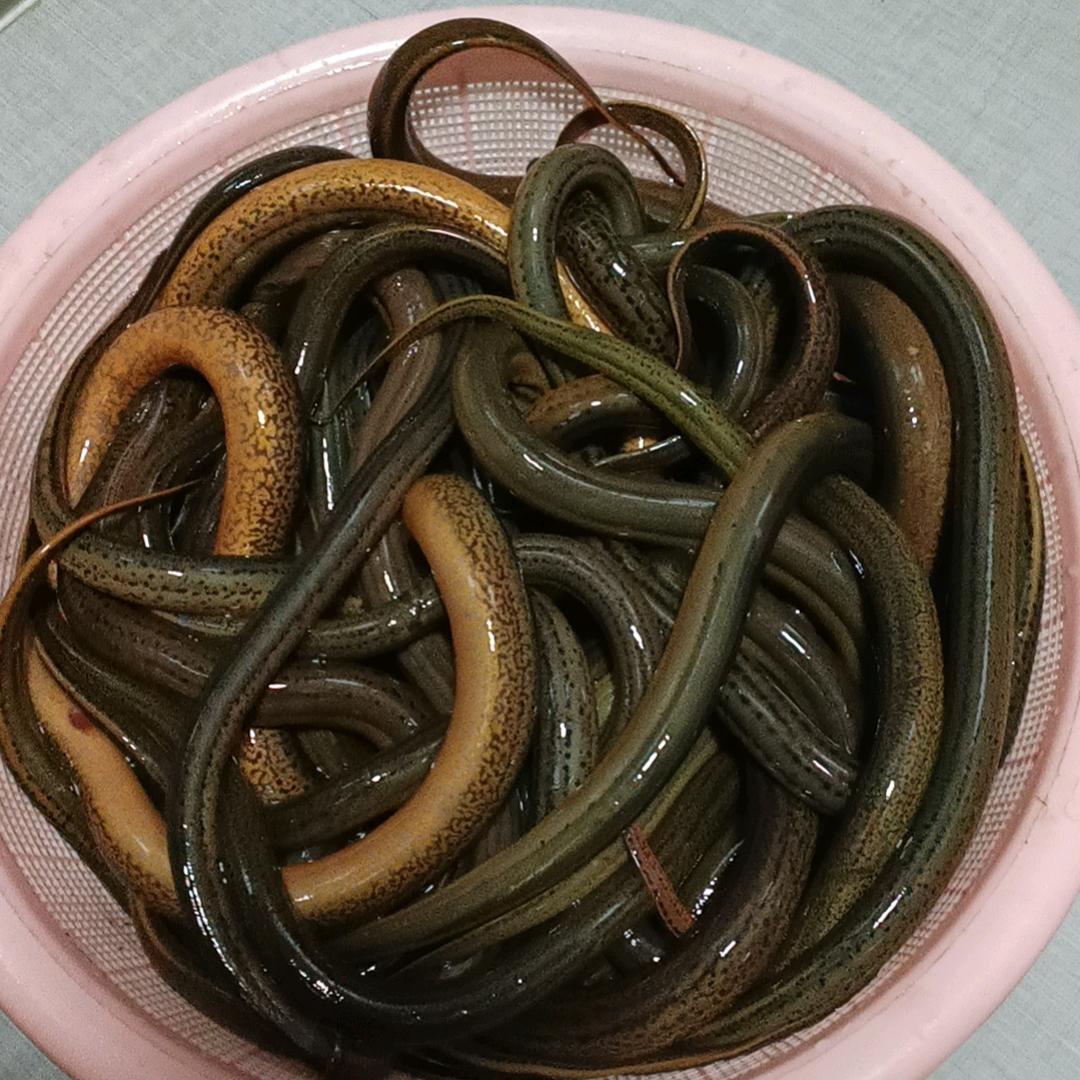 明城户外