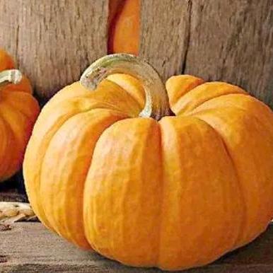 眼中有山河万里，何惧