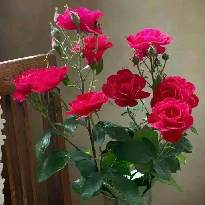 用户。好人一生平安