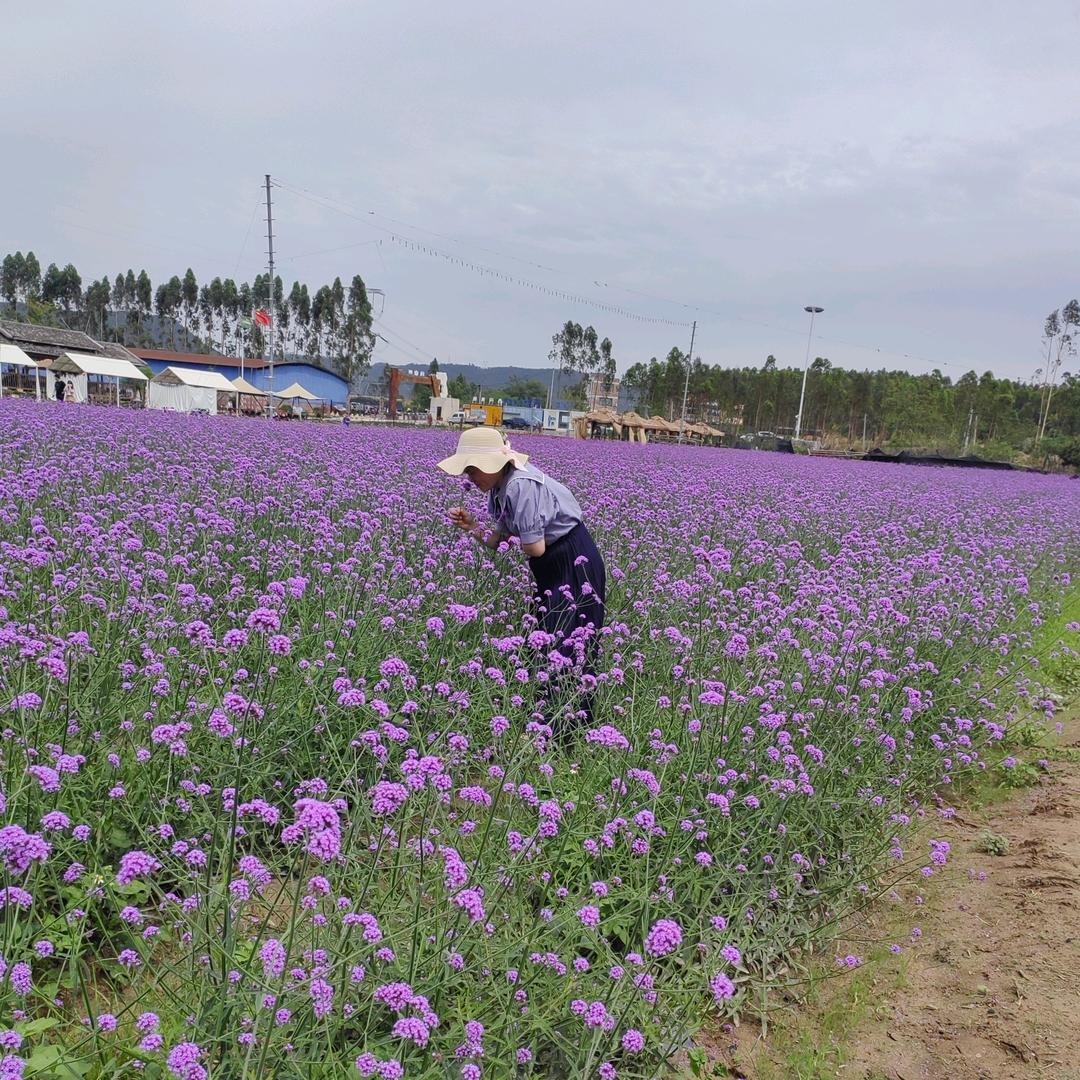 🌈缘相识心相识