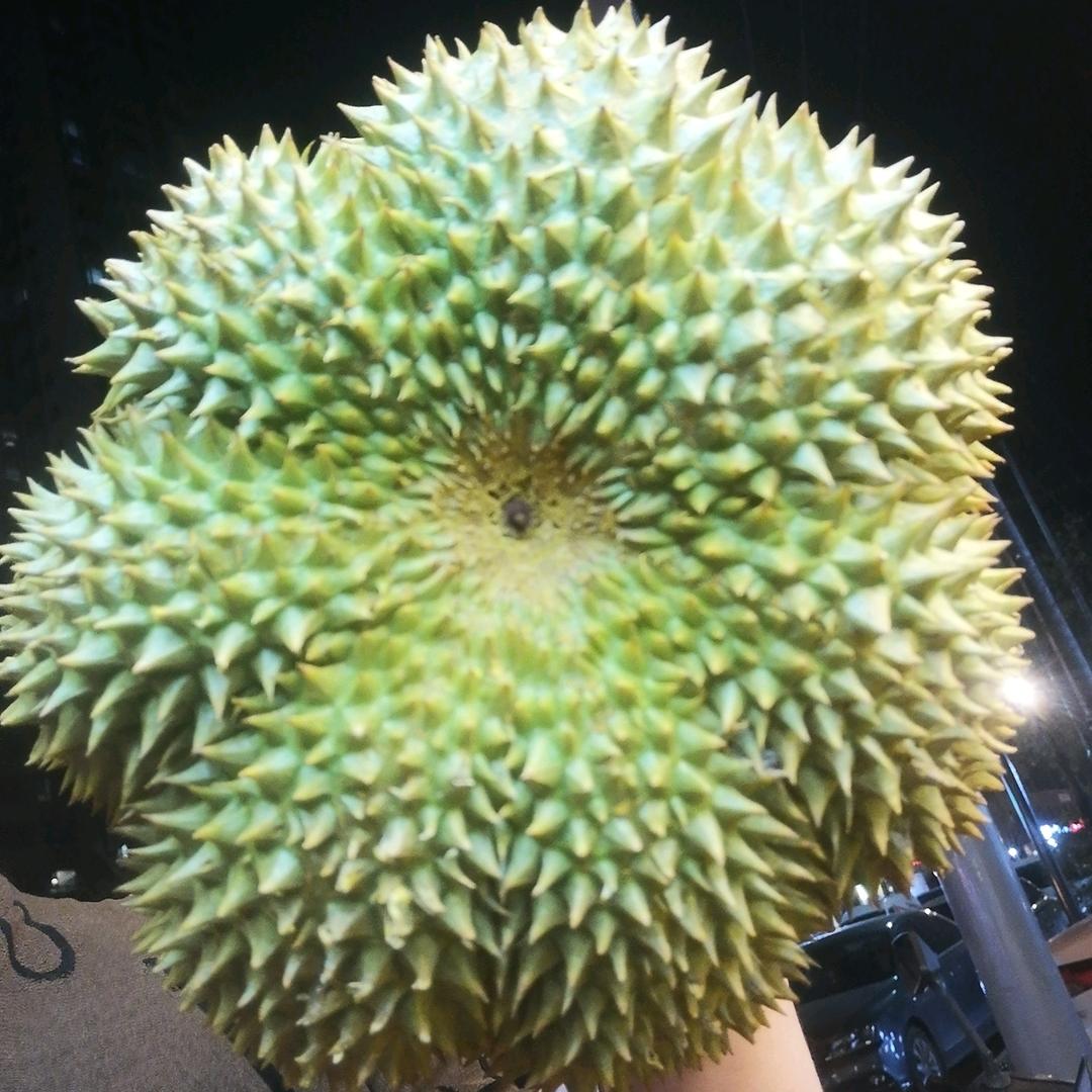 榴乄芒