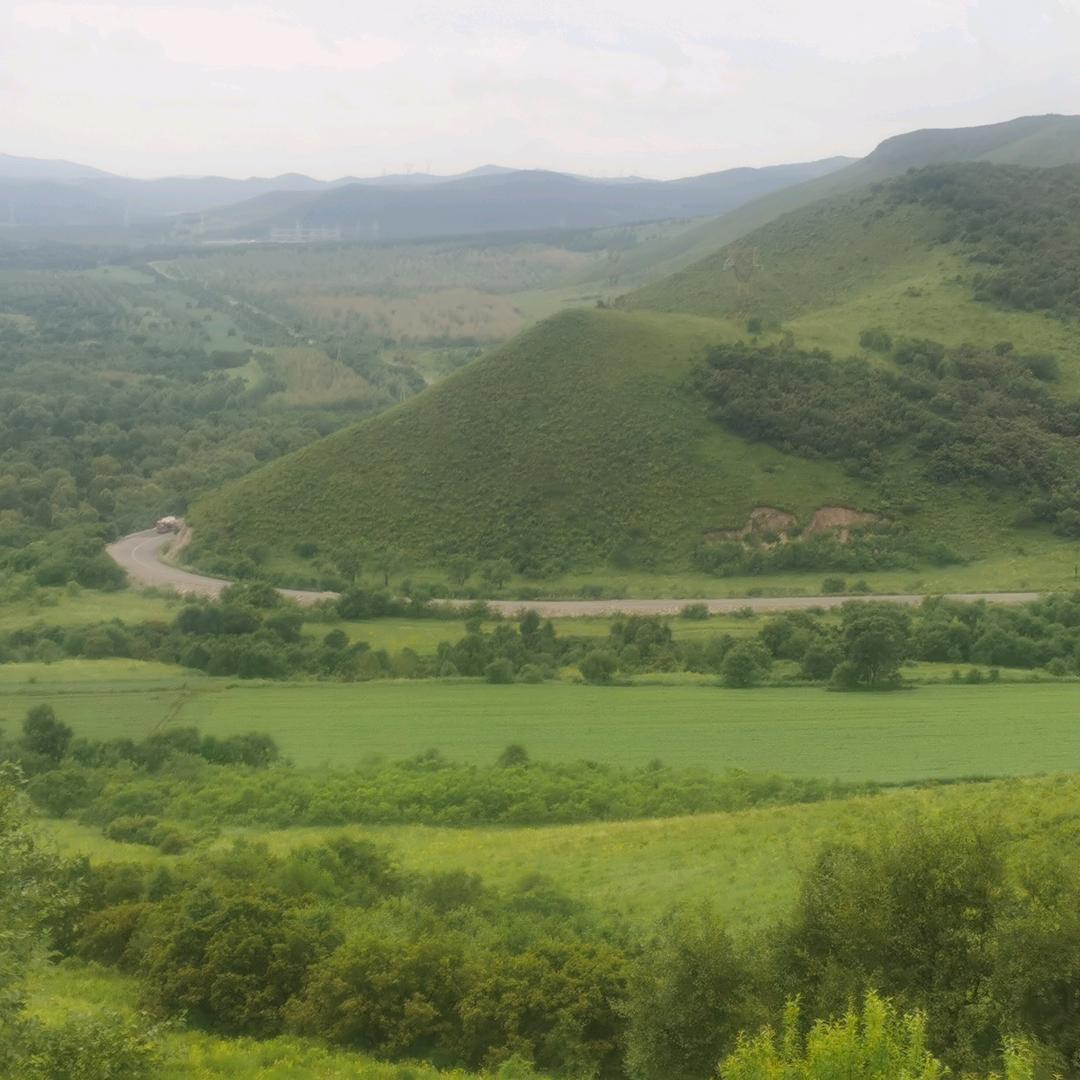 陈巴尔虎旗巴彦库仁镇振志卓鲜肉店