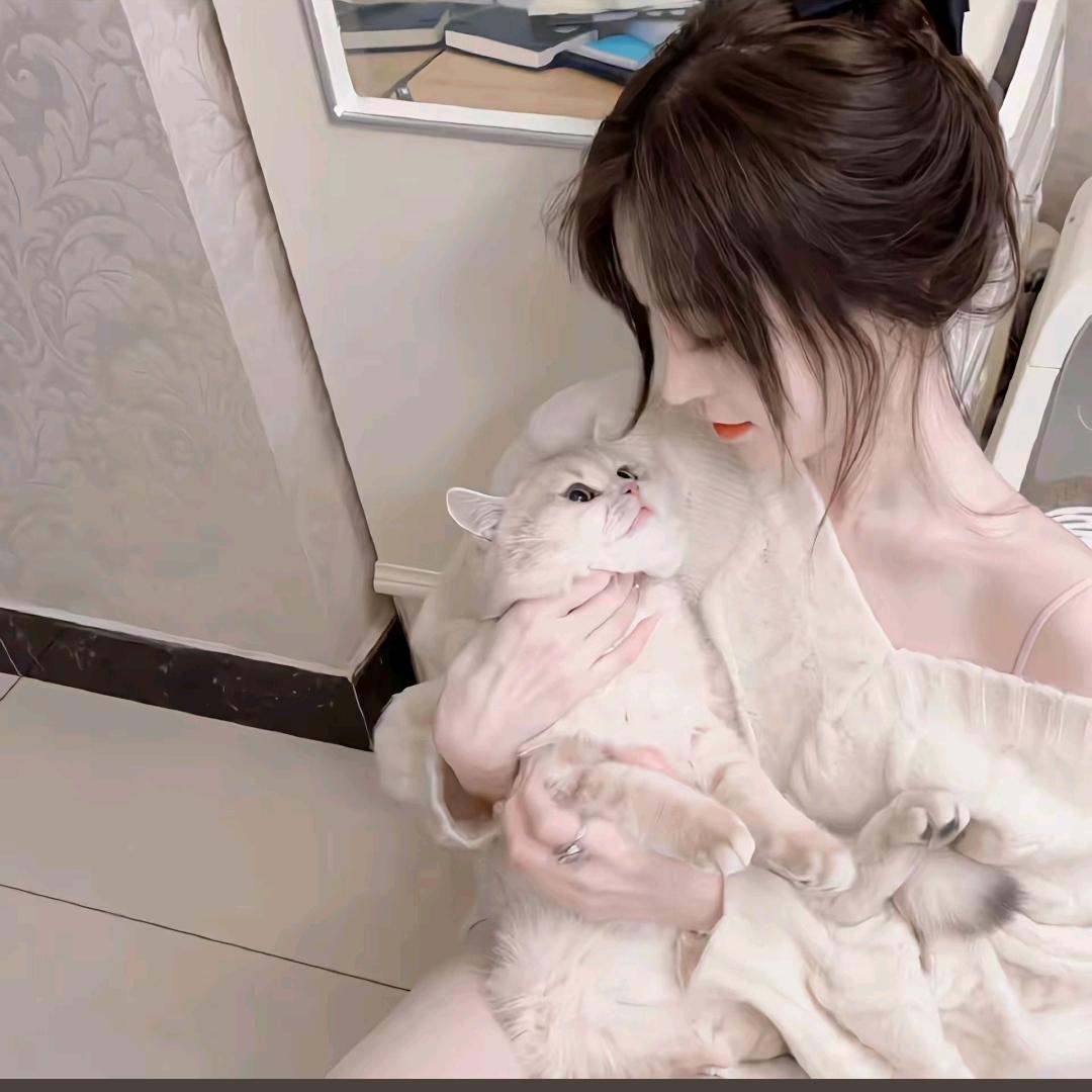 小野猫