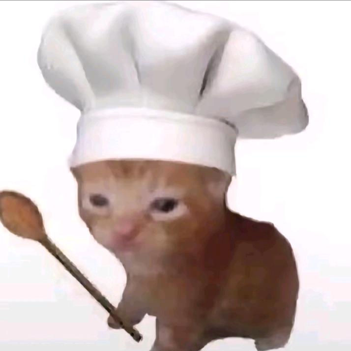 不太白的小白