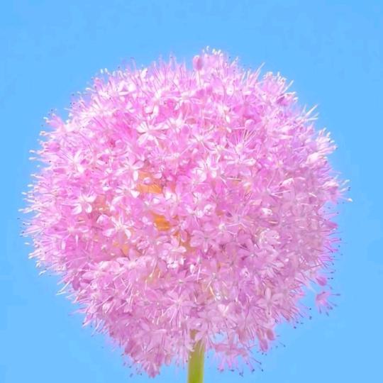 财源好物推荐