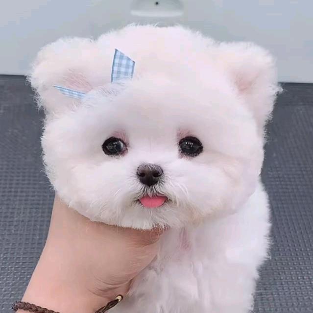 宁宁