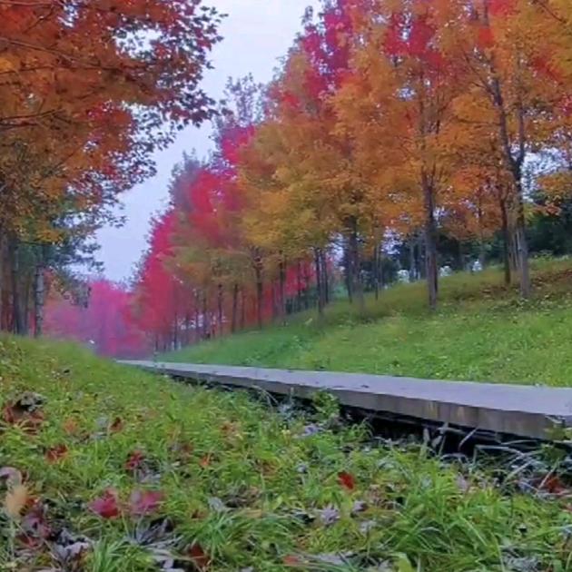 匆匆那年