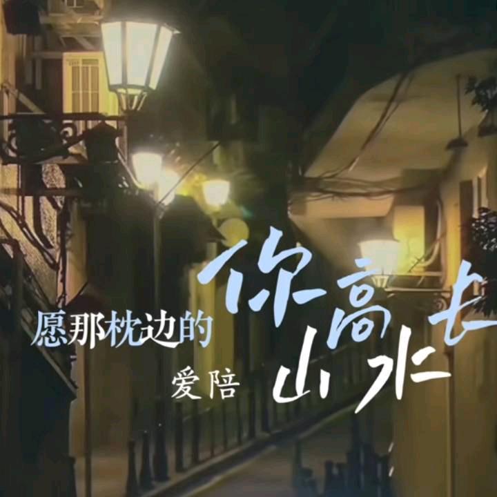 归途的夜光
