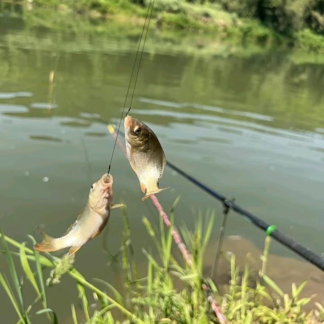 爱钓鱼🎣的王哥