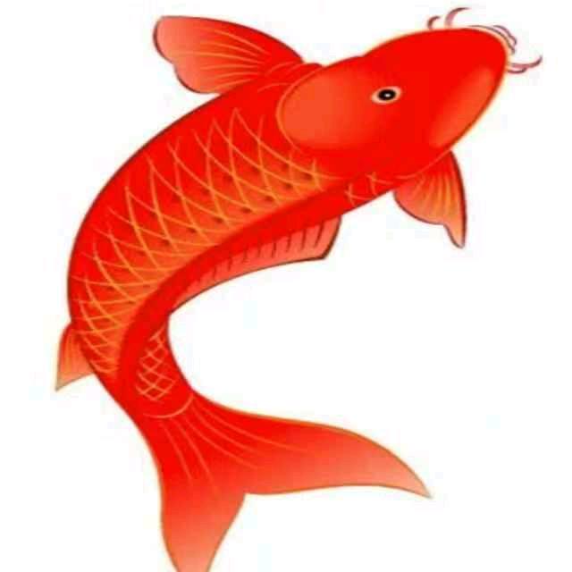 🐰经纪人-全国-诚信🐰