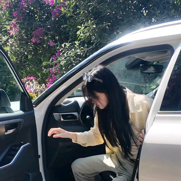 中升丰田小羊