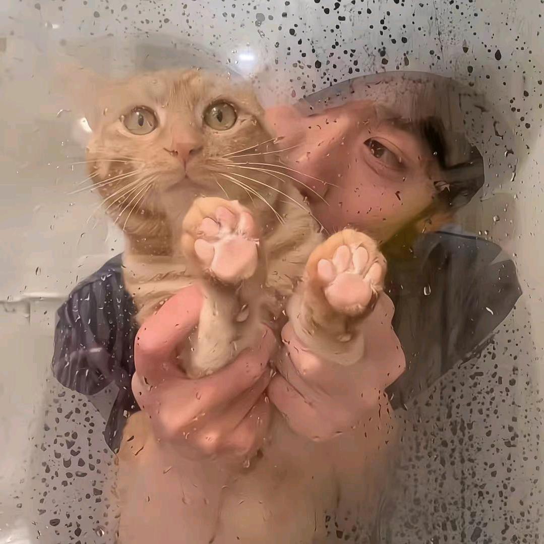 .安梓潼.
