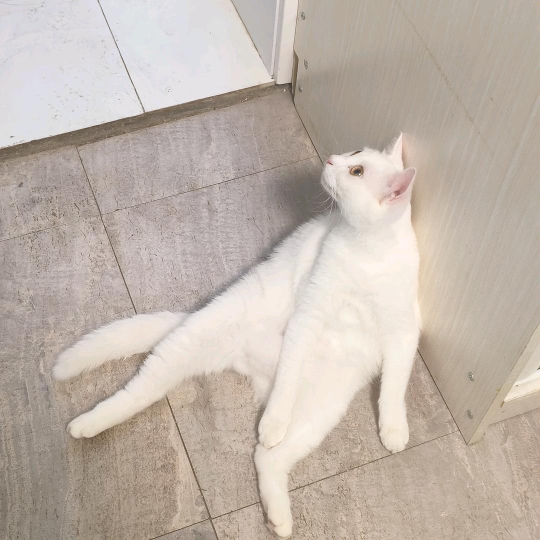 镕曦