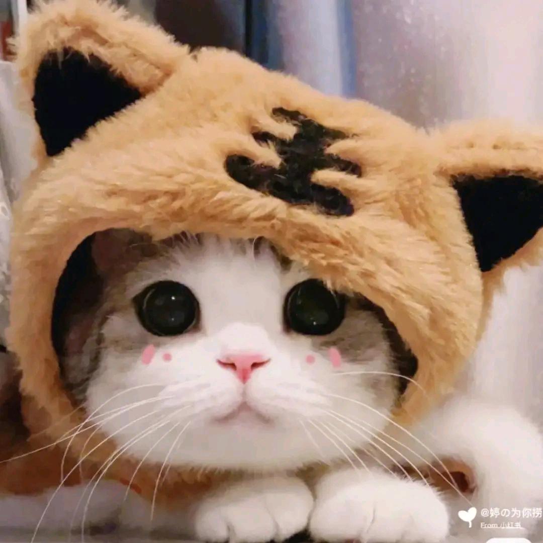 小七