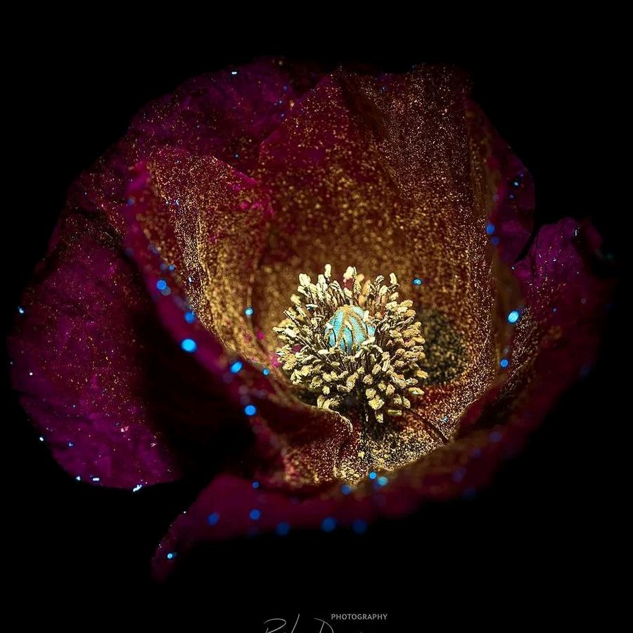 螺旋升天法力无边