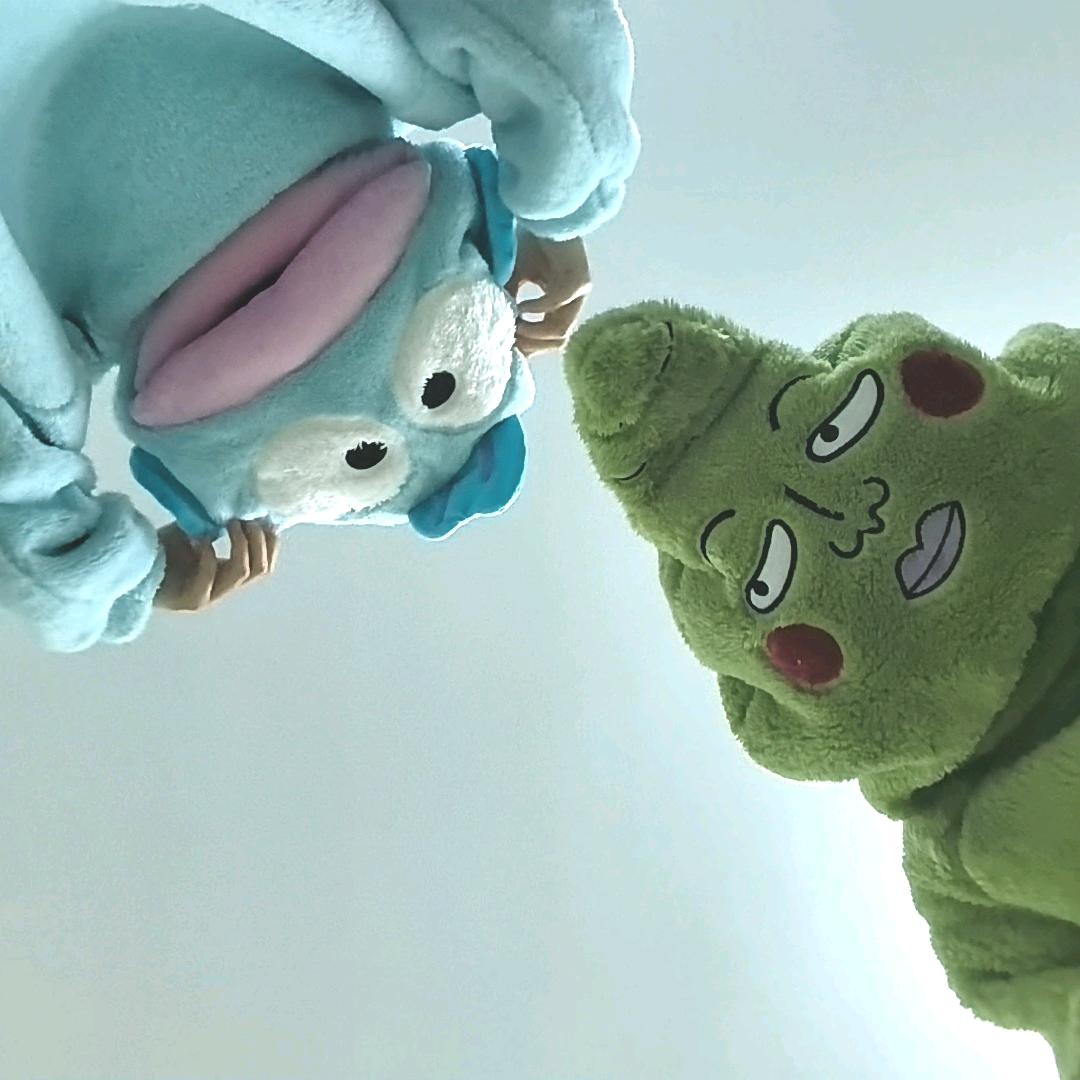 傻鱼爱拉绿粑粑🐟💩