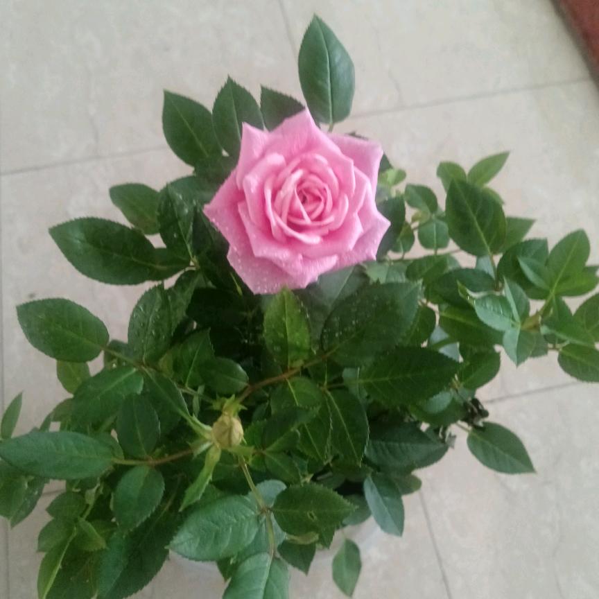 百色广淘二手车@领悟@