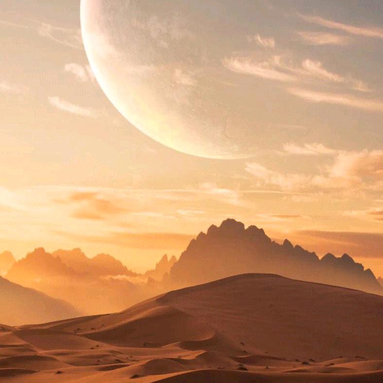 小王（减肥版）