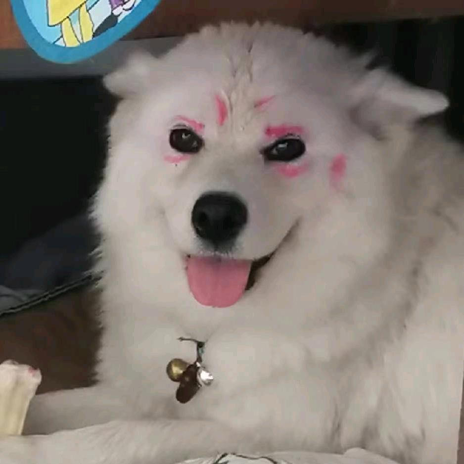战哥的小睦慕
