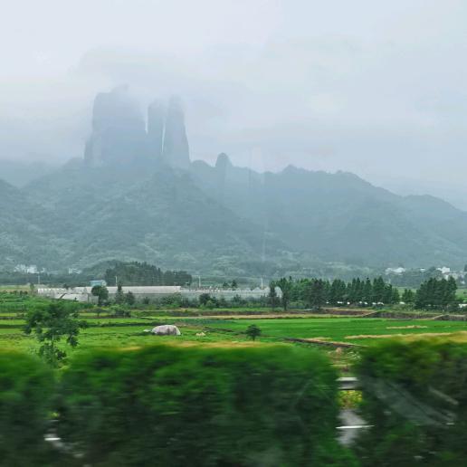 随缘     今生有  ？