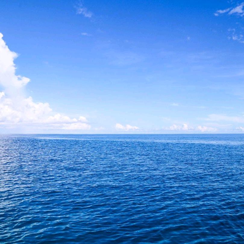 海洋A头像