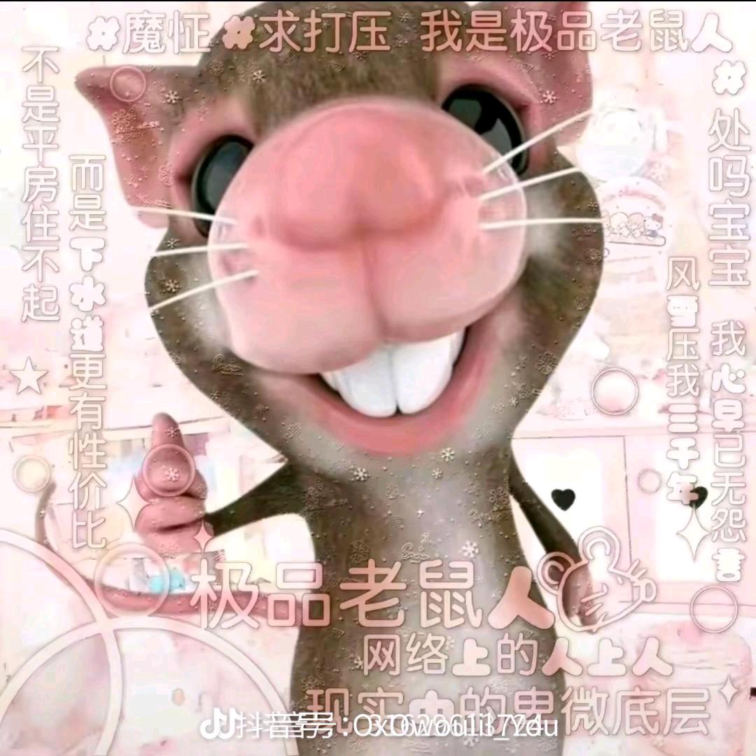 冰公主.