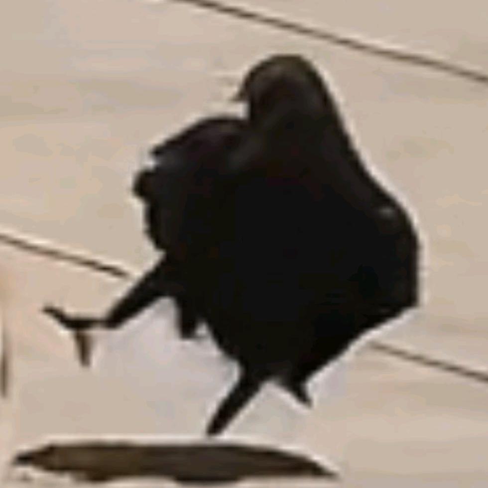 豆饼
