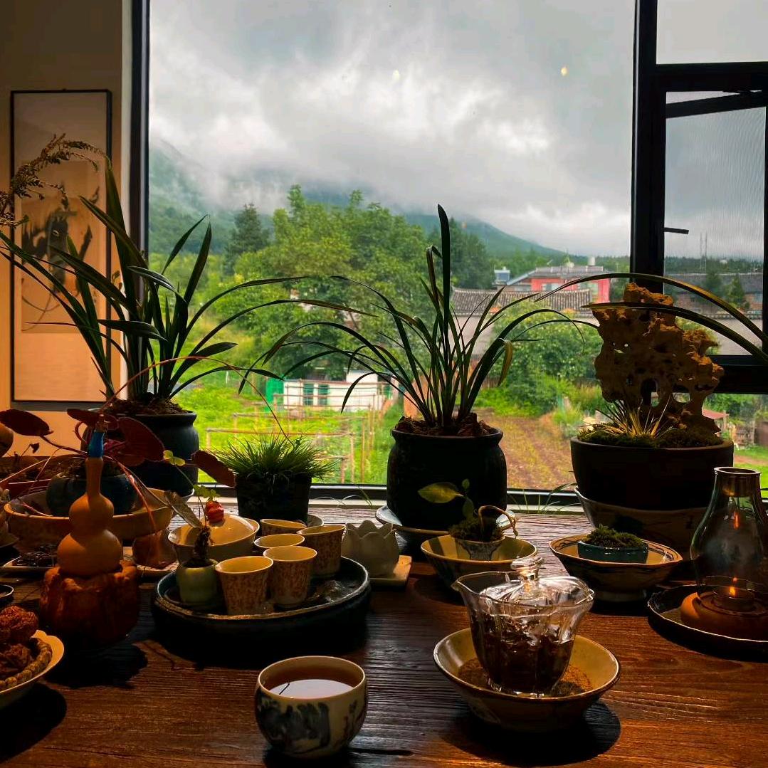 广东于哥