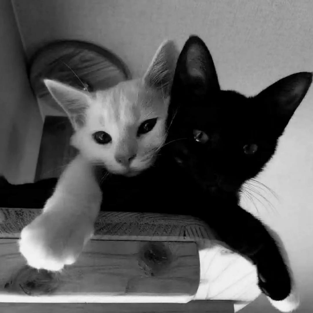 无限弹跳弼马温大战墨西哥免费停车场