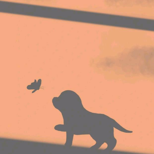 番茄你个西红柿