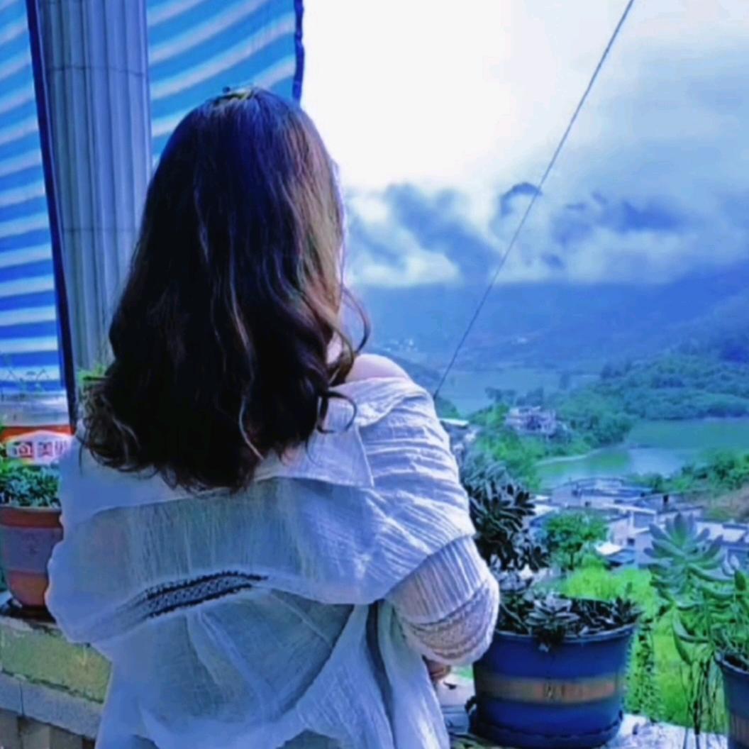 小飞蝶