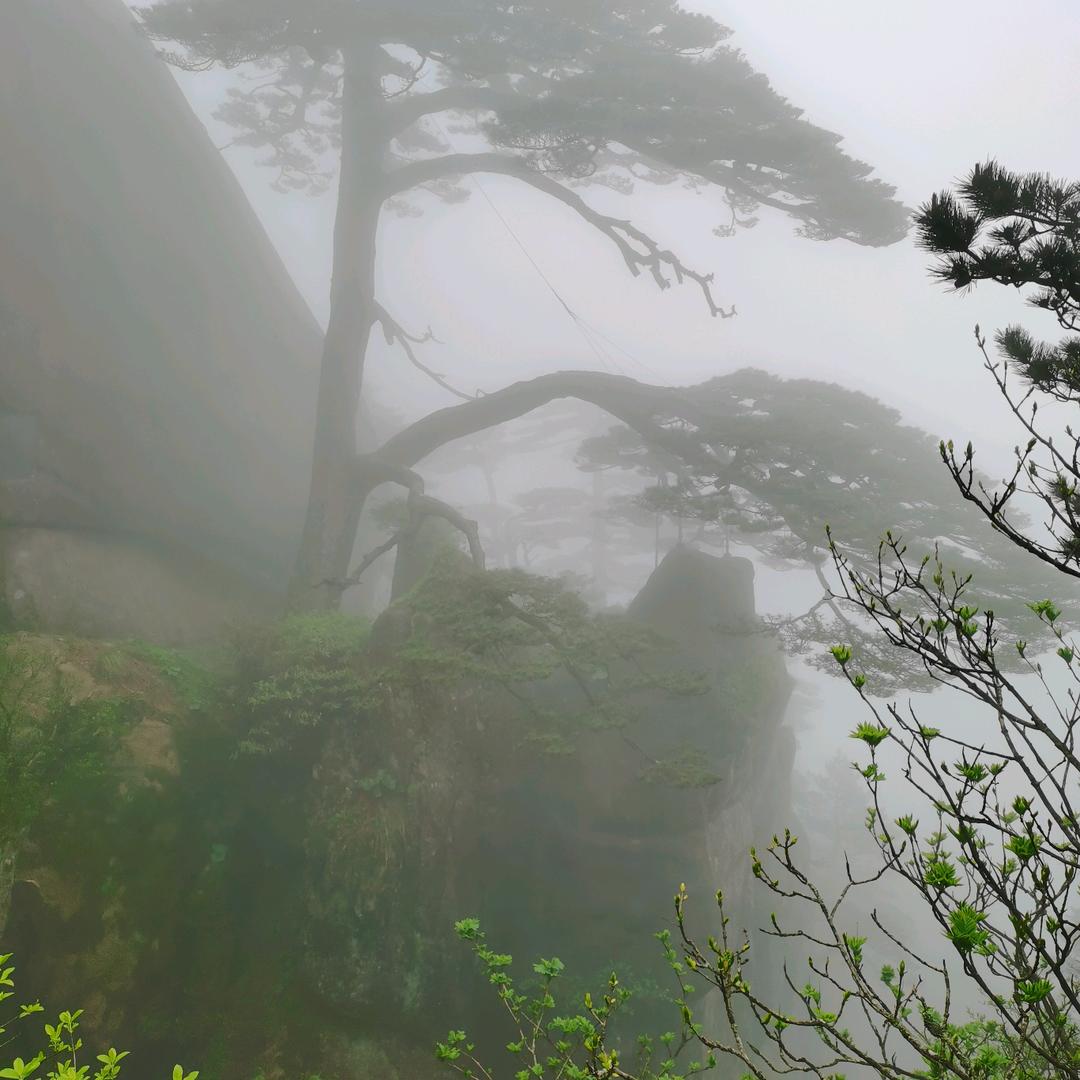 人心险恶难测